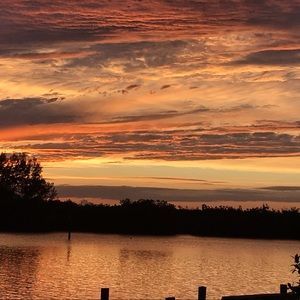 Meet your Posher, Patricia